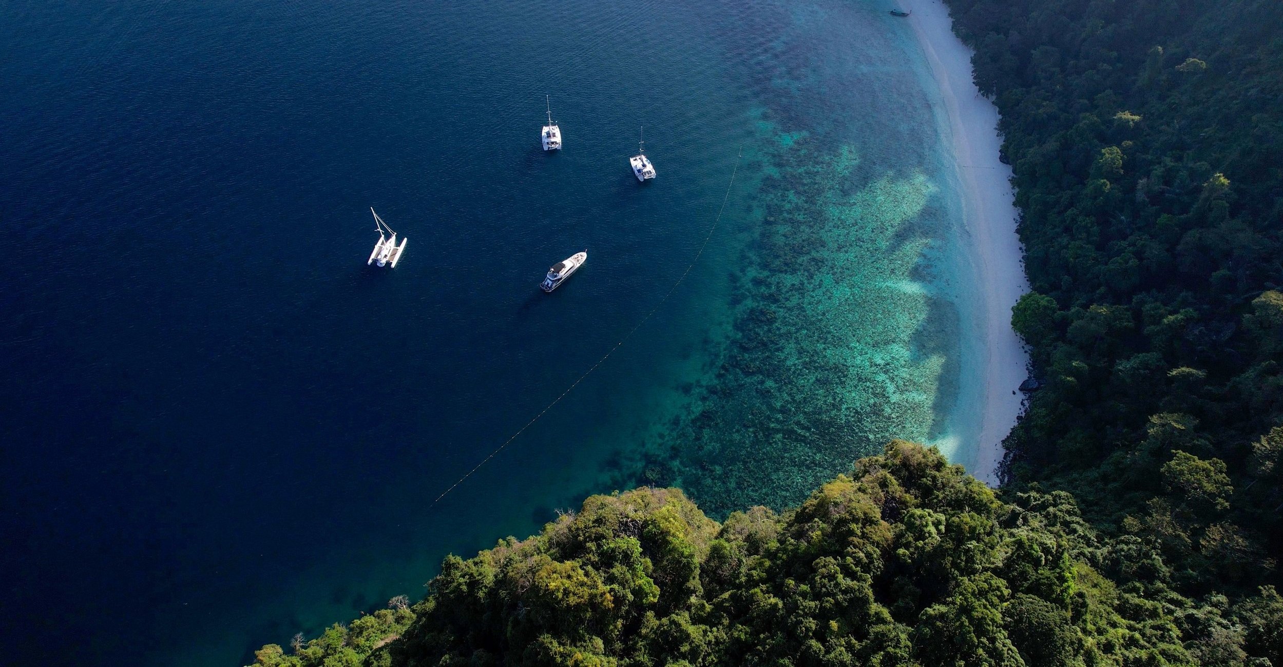 🎉-we-crossed-the-pacific-ocean-🎉